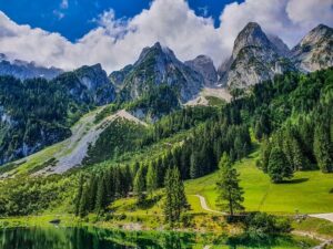 Read more about the article טיולי חברה וימי גיבוש בוינה והסביבה