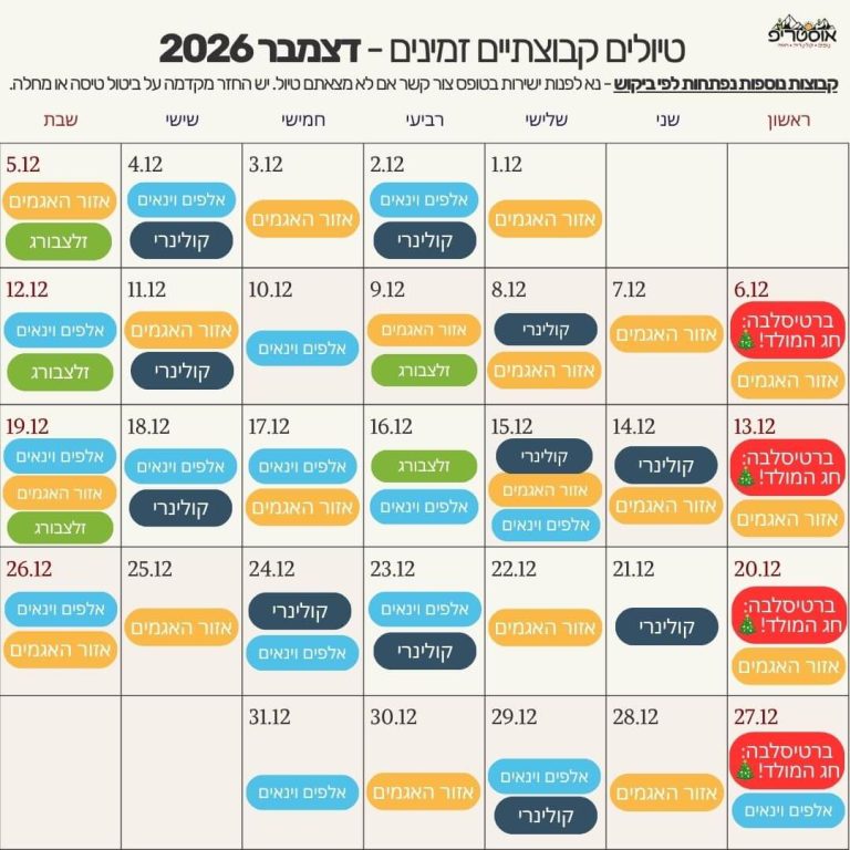 לו"ז דצמבר 2026