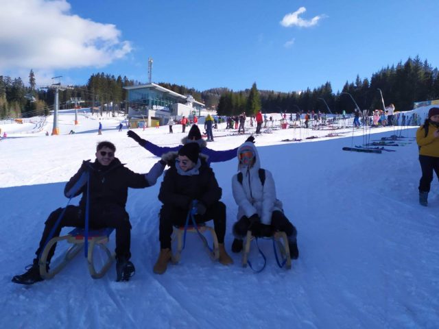 sledging-in-wiener-alps